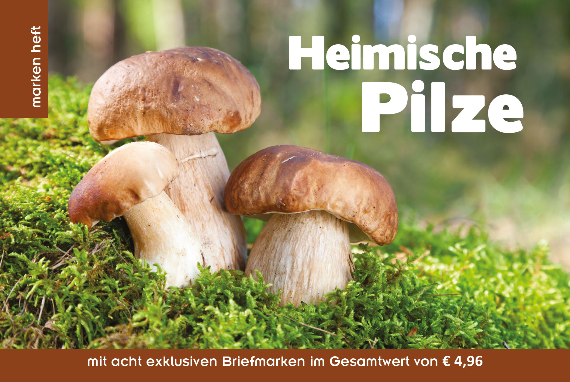 Briefmarken über Pilze, mit Pilzporträts durfte ich für Ferrytells GmbH machen.
