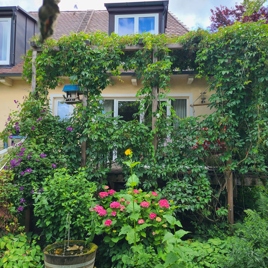 vogelhaus_luiseheine