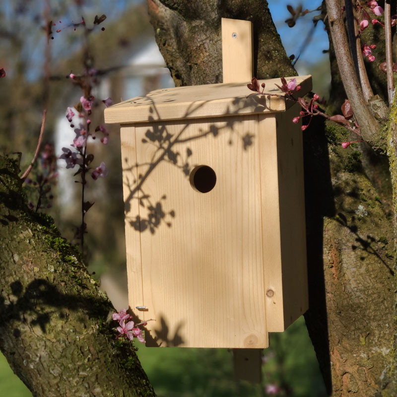 vogelkasten_luise_heine